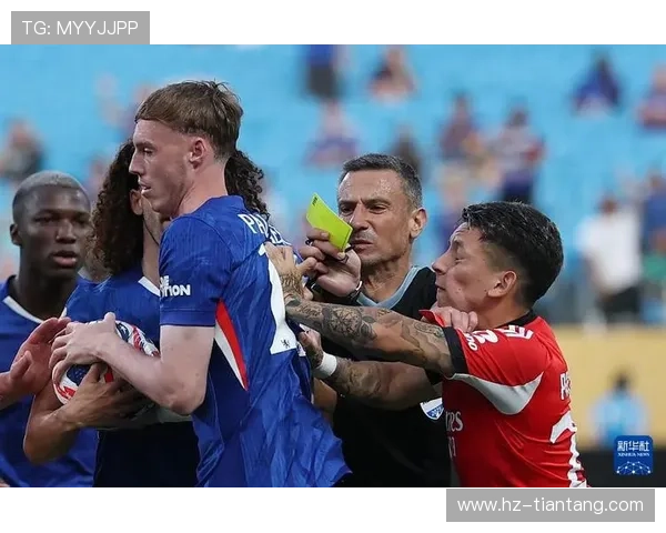 普雷斯蒂安尼因恐同言论停赛六场